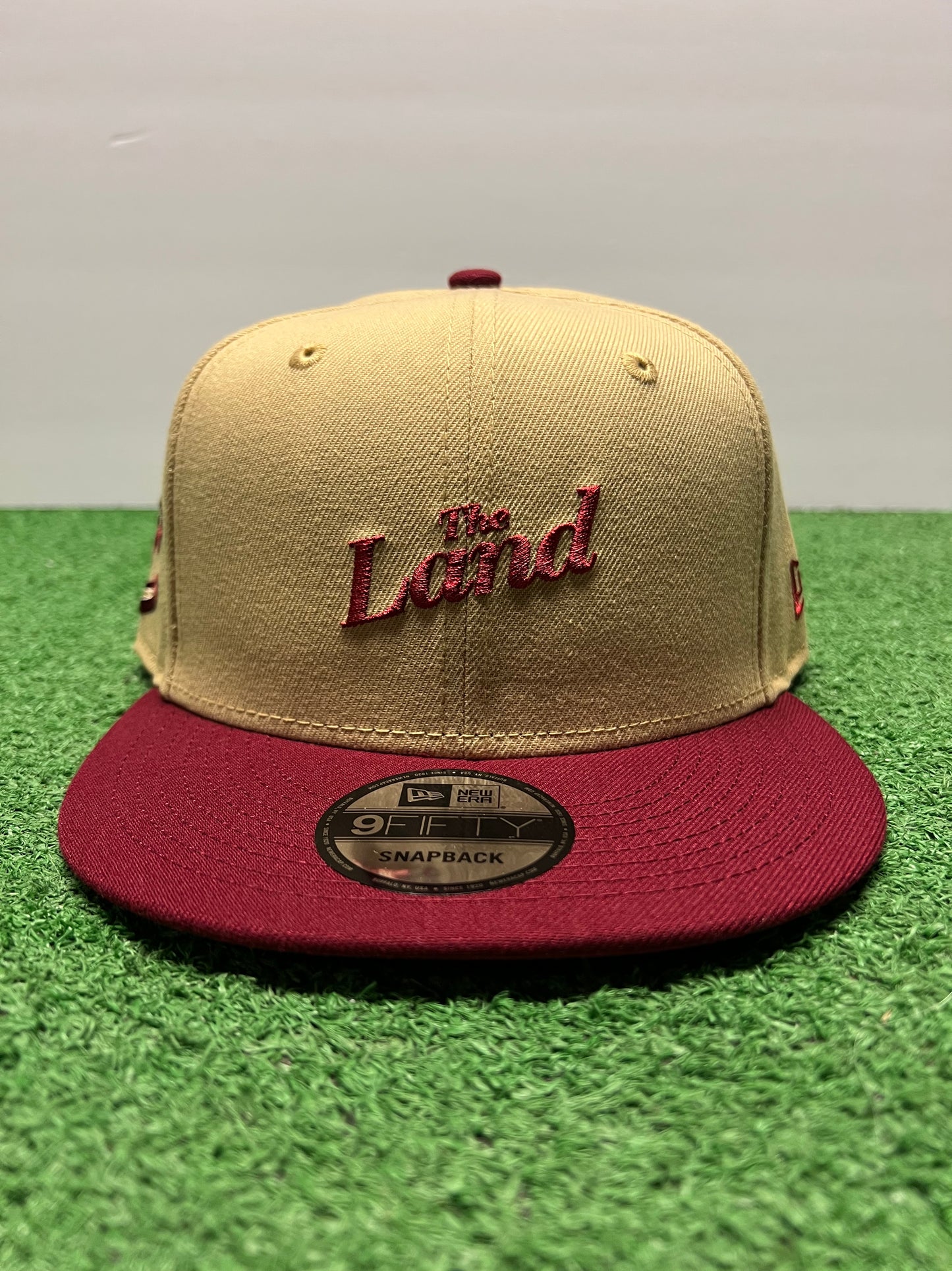 Cleveland Cavaliers The Land SnapBack
