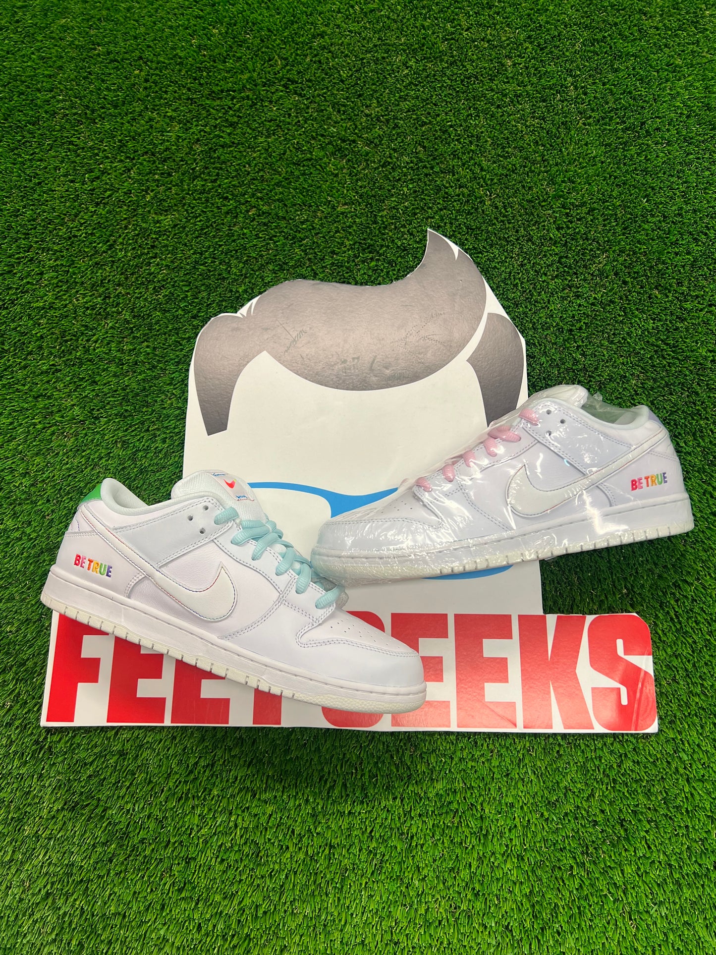 Men’s Nike SB Dunk Low Be True Brand New