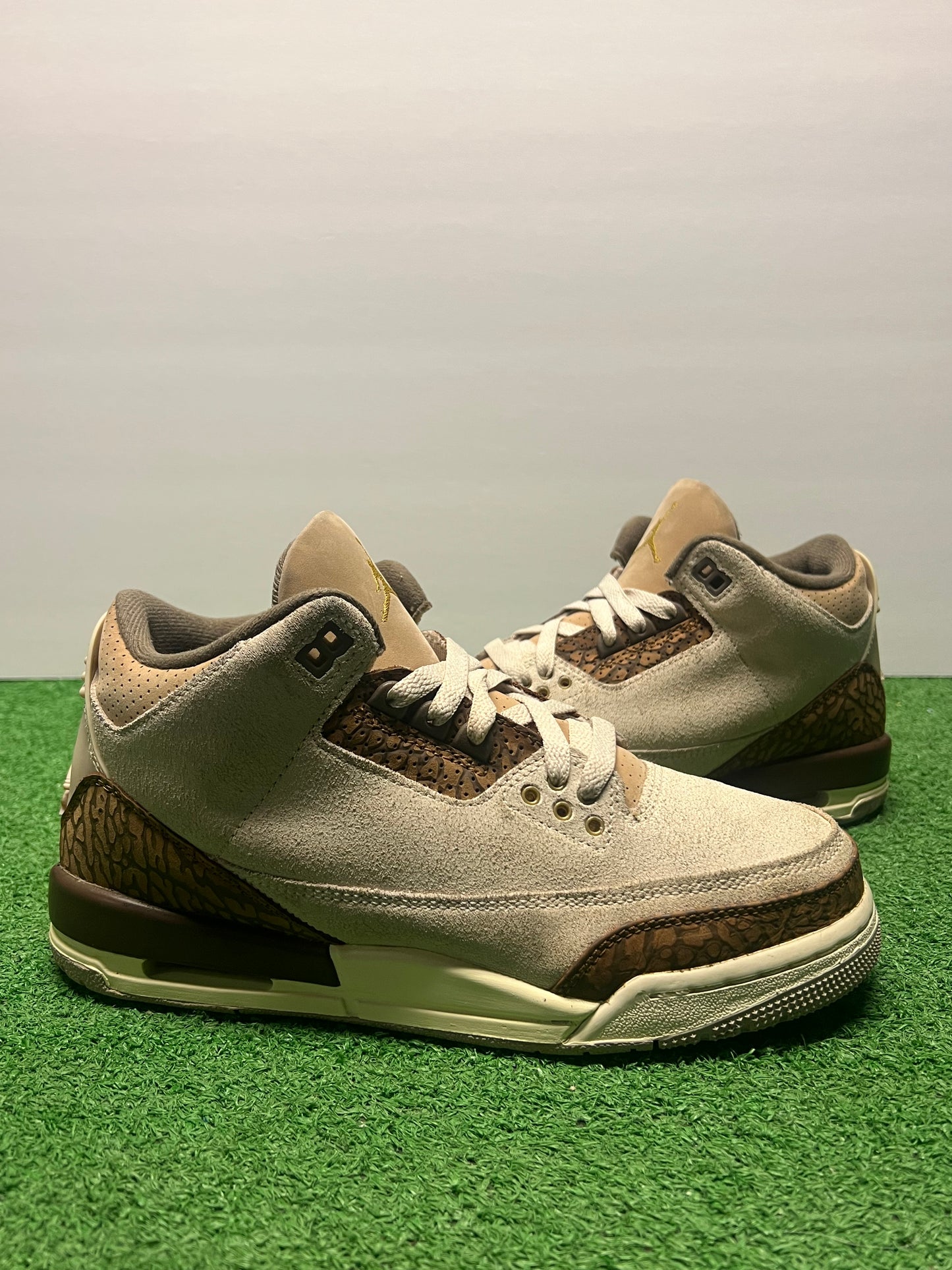 Gradeschool Air Jordan 3 Palomino Size 7y