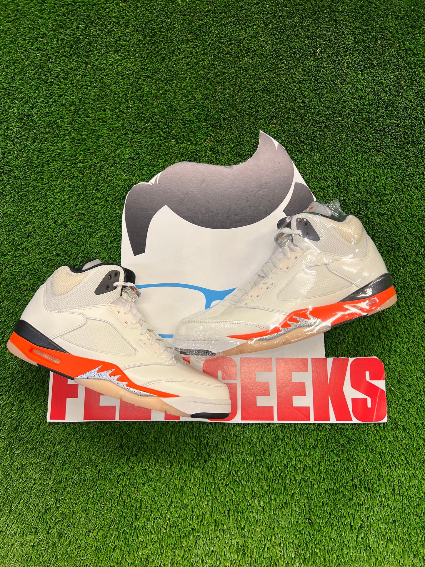 Men’s Jordan 5 Shattered Backboard size 13 Brand New $220