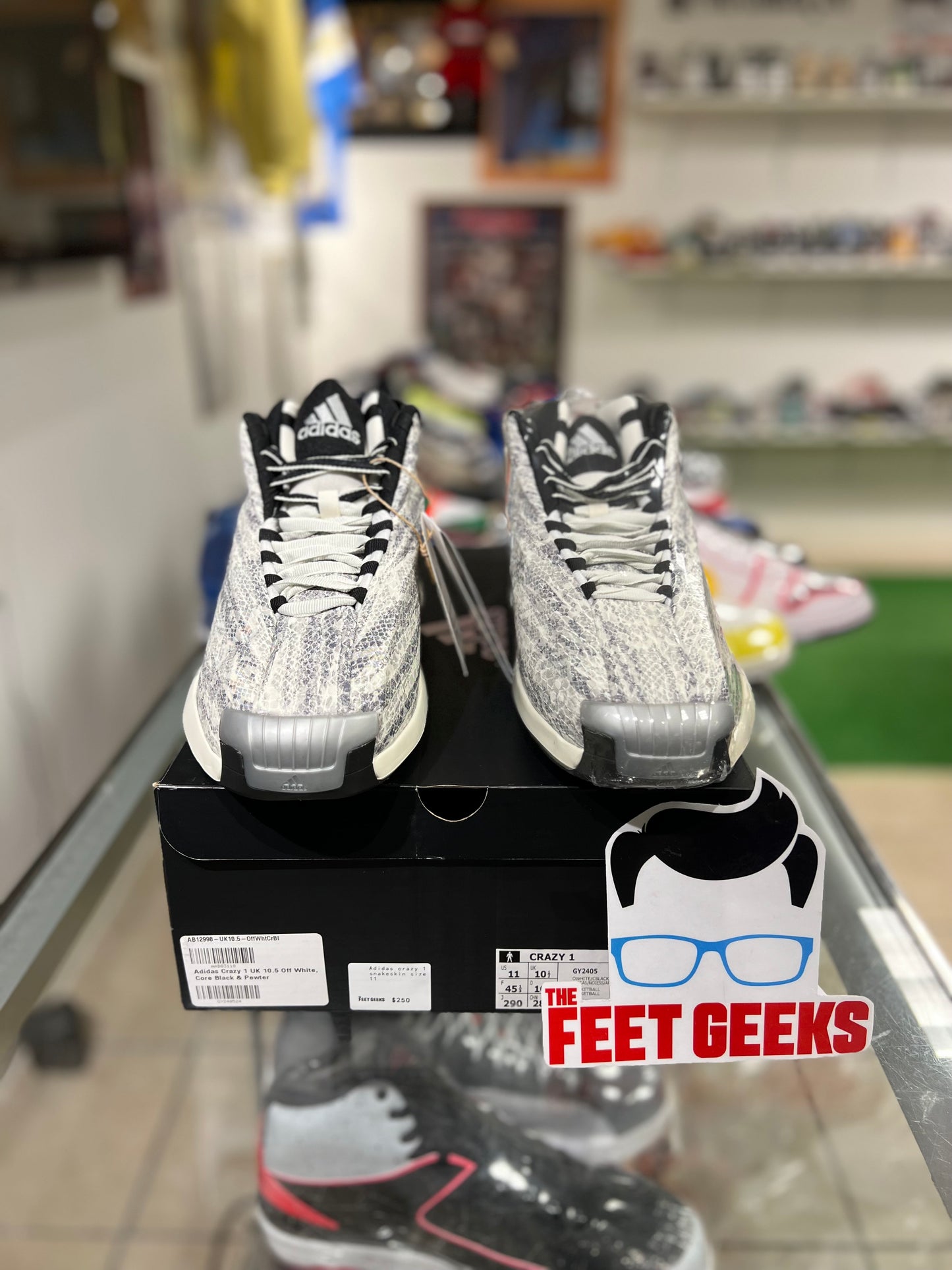 Adidas crazy 1 snakeskin men’s shoe new