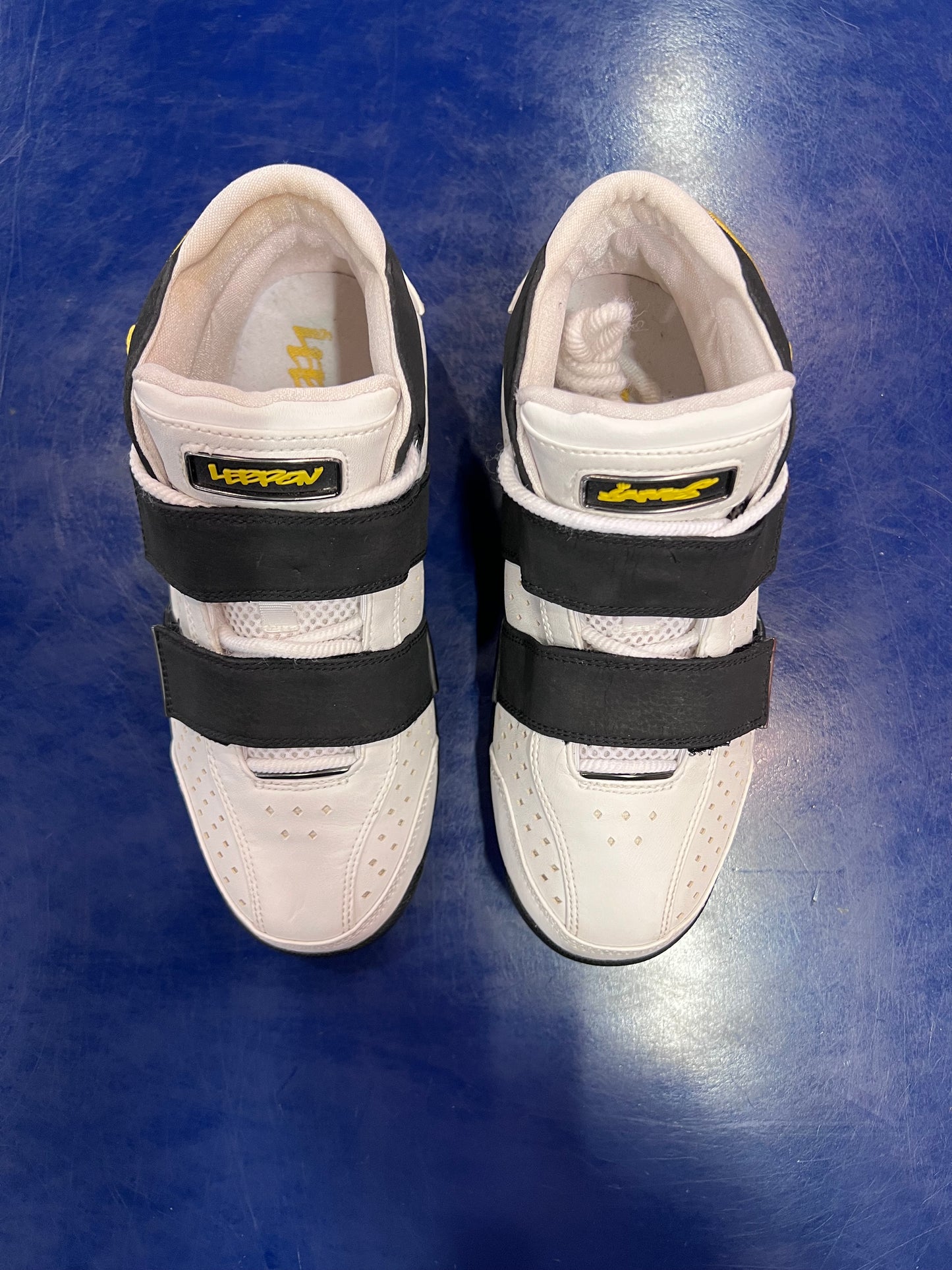 Gradeschool Nike LeBron 20-5-5 Size 4.5