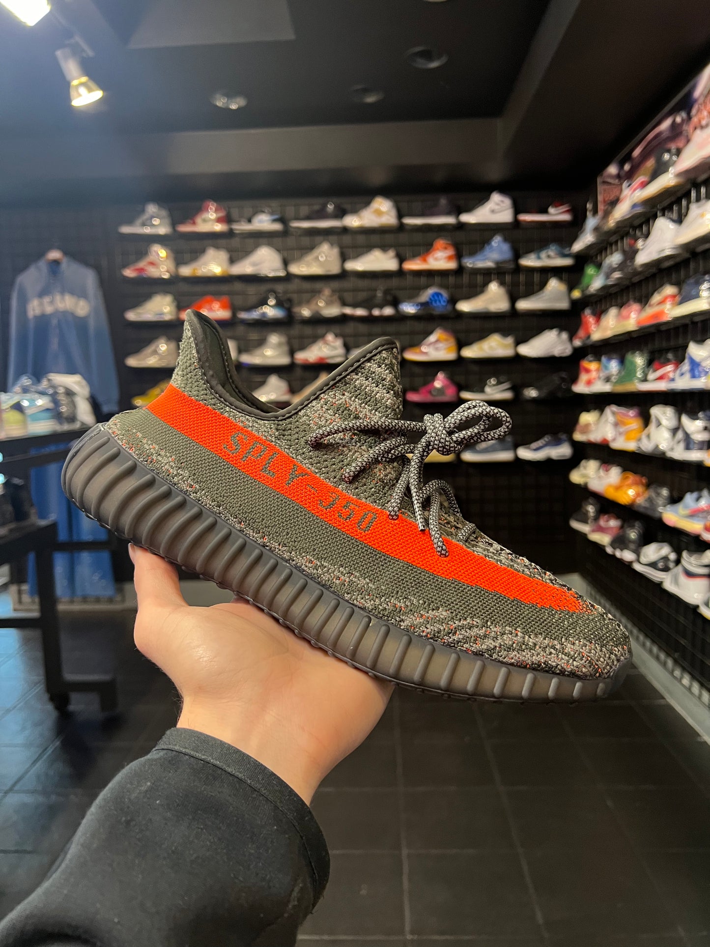 Men’s Yeezy 350v2 Carbon Beluga Brand New