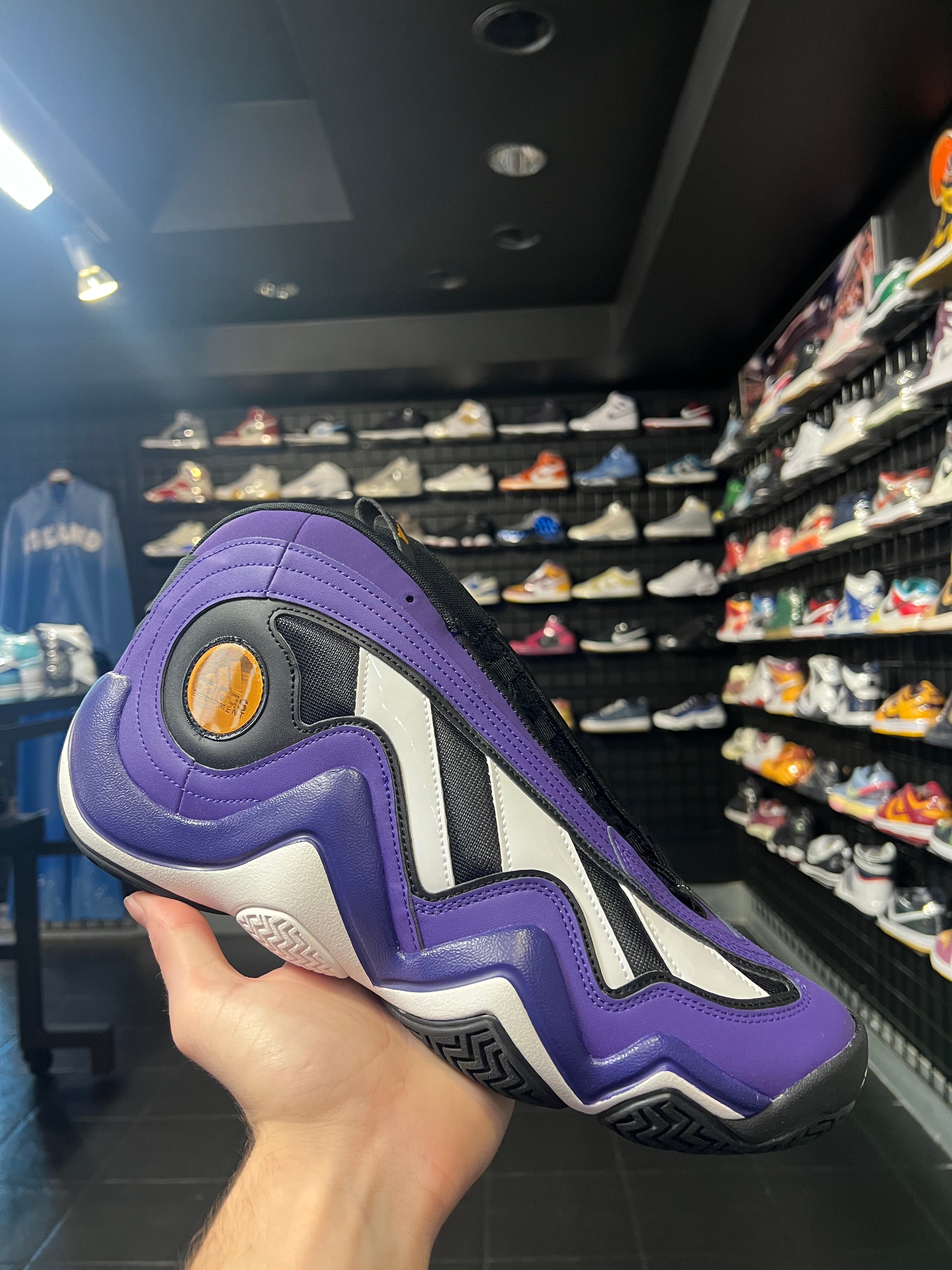 Adidas Crazy 97 Slam Dunk Brand New