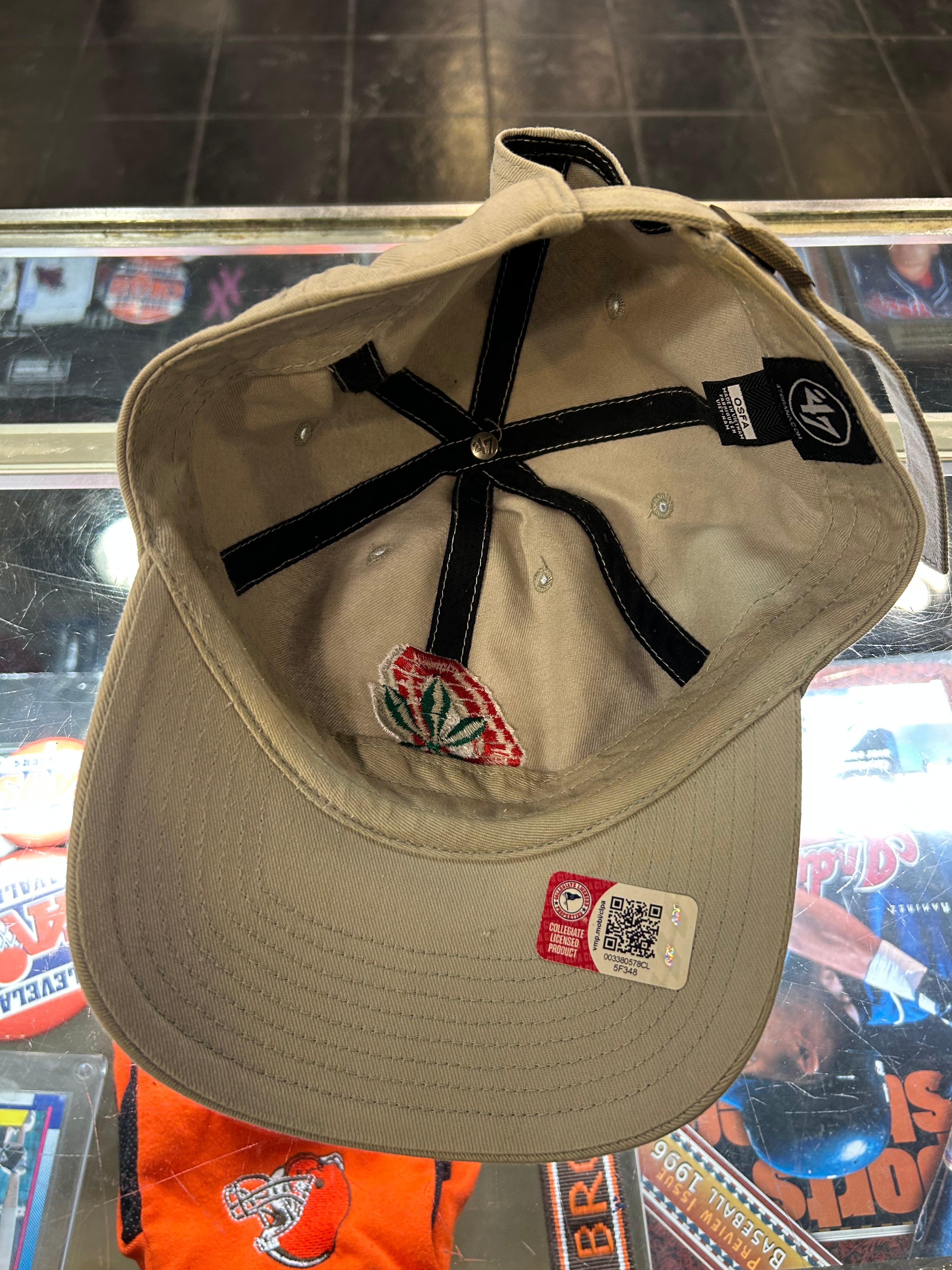 47 Brand Ohio State Buckeyes Dad Hat