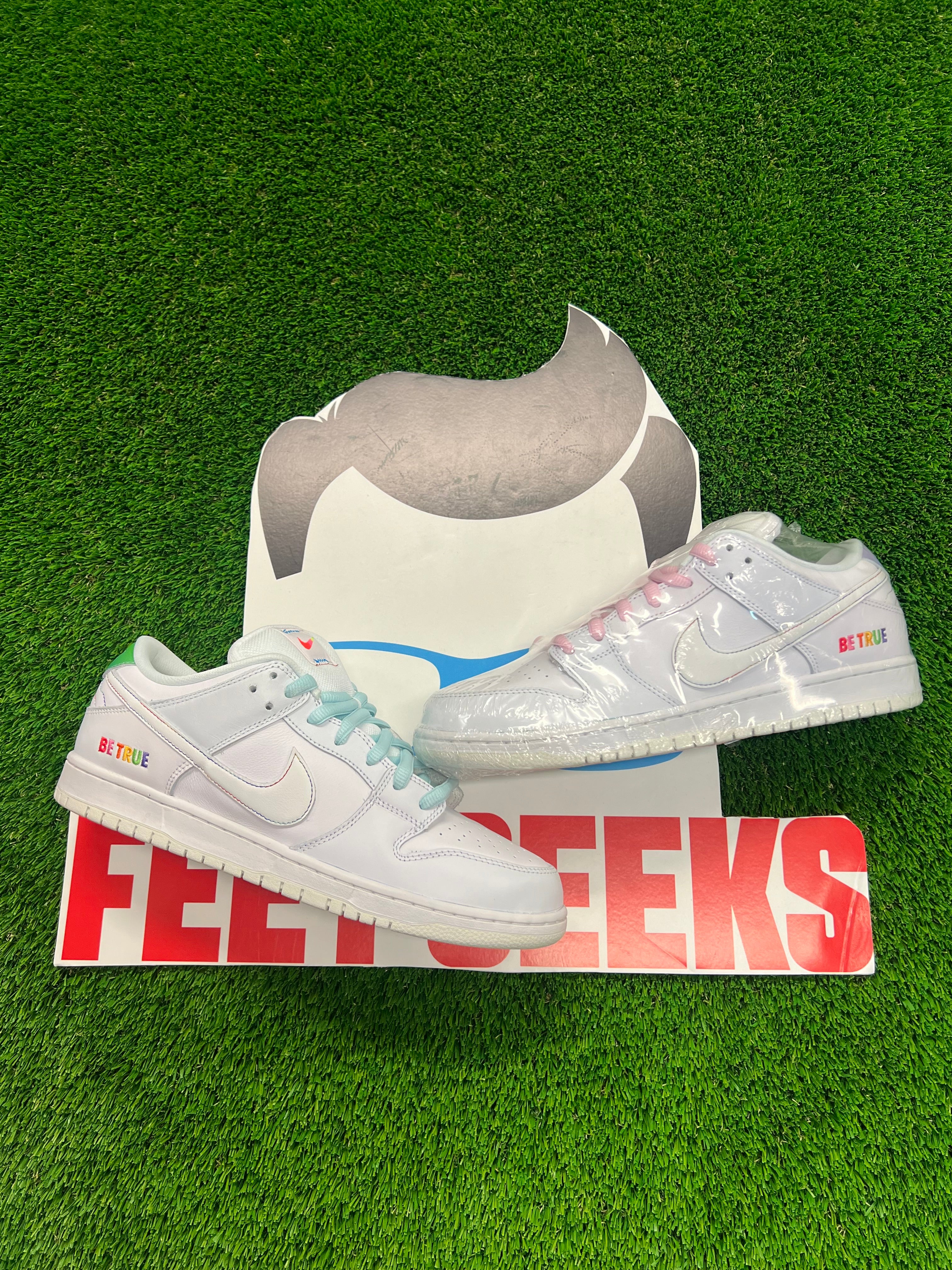 Men’s Nike SB Dunk Low Be True Brand New