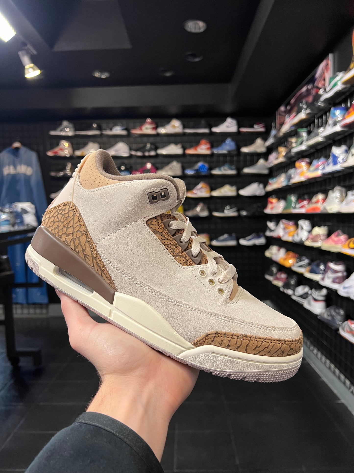 Air Jordan 3 Palomino Brand New