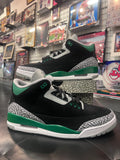 Men’s Air Jordan 3 Pine Green Size 12 Shoes