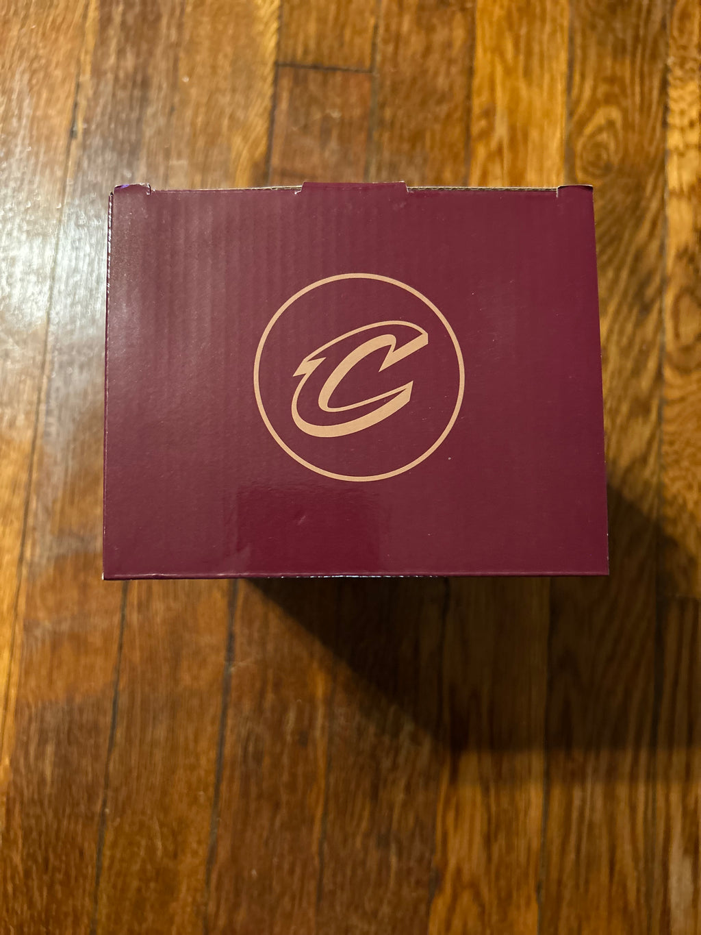 Cleveland Cavaliers Evan Mobley Collectible Bobblehead Night
