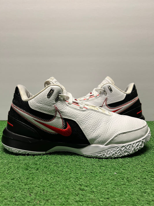 Men’s Nike LeBron NXXT Gen Size 10.5