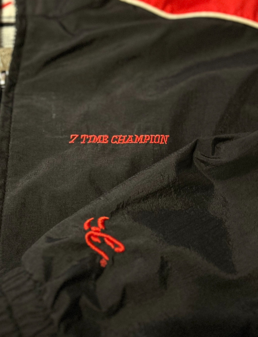 Dale Earnhardt 7 Time Champion Jacket Mens L Chase Authentics NASCAR #3 Black