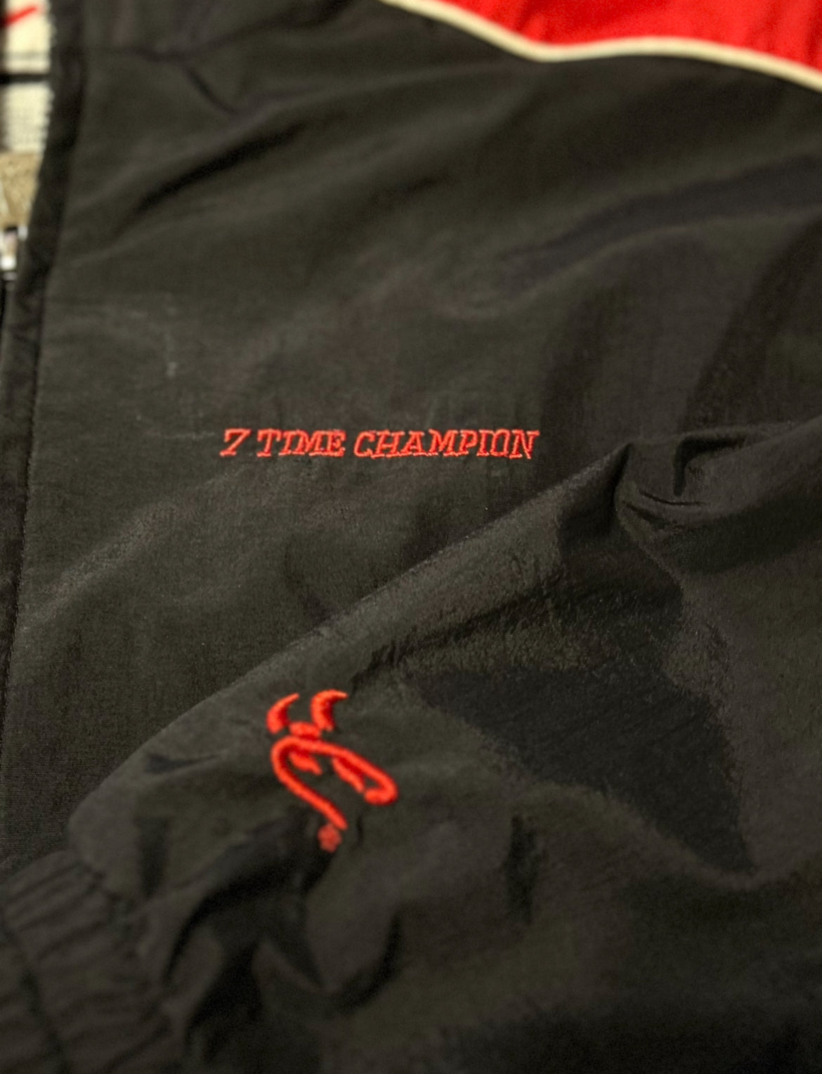 Dale Earnhardt 7 Time Champion Jacket Mens L Chase Authentics NASCAR #3 Black