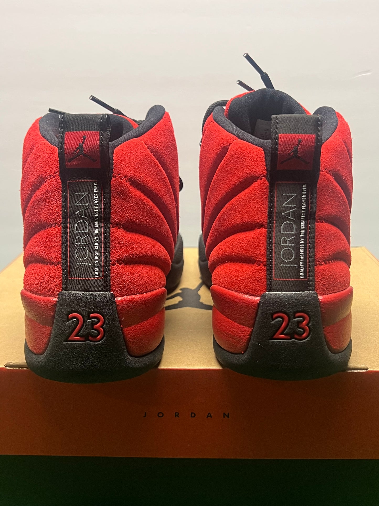 Men’s Air Jordan 12 Reverse Flu Game Size 9