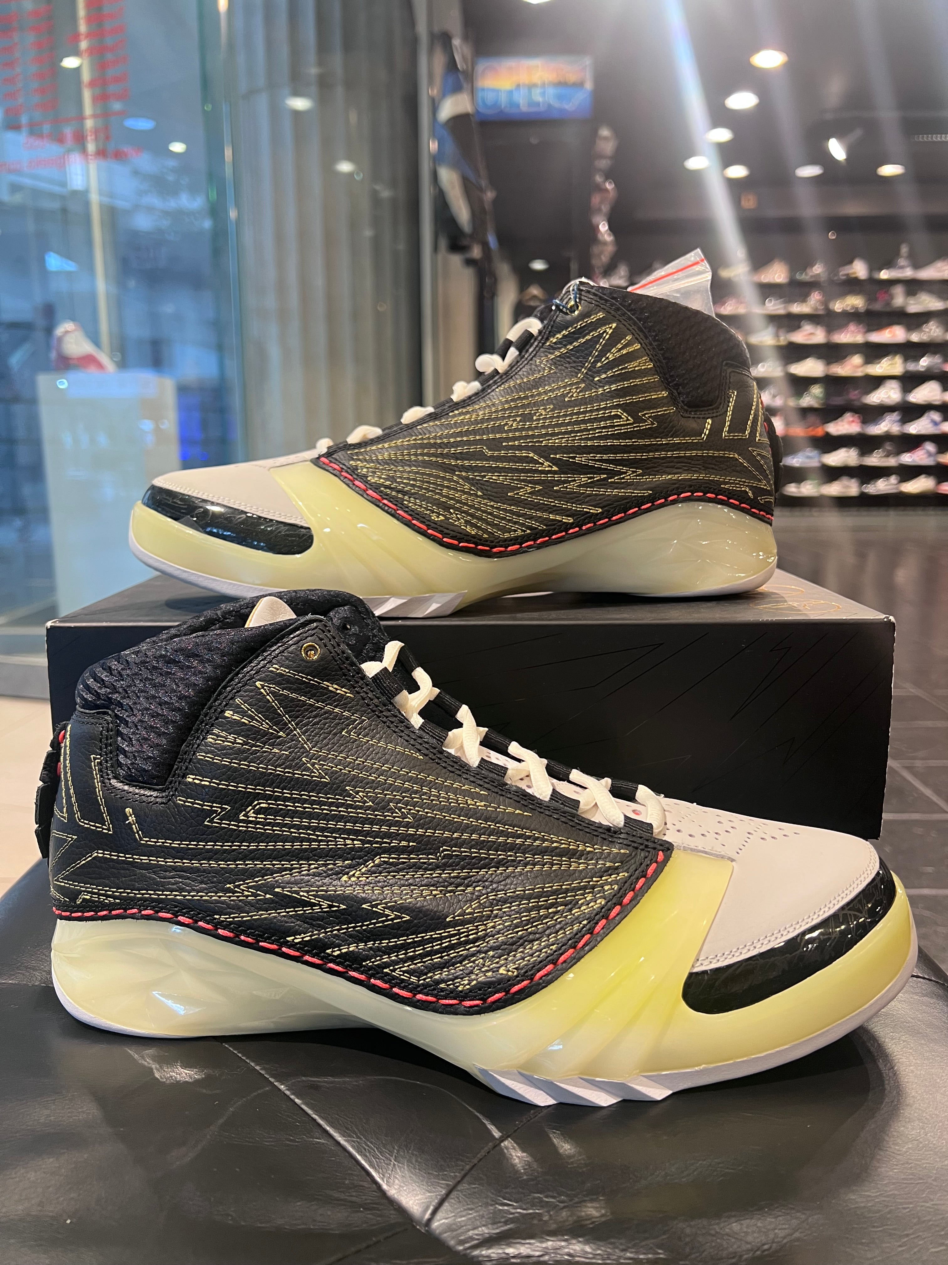 Air Jordan 23 Titan Size 12 Men’s Shoes
