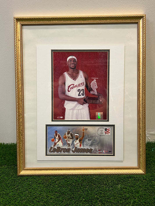 LeBron James Rookie of the Year Plaque