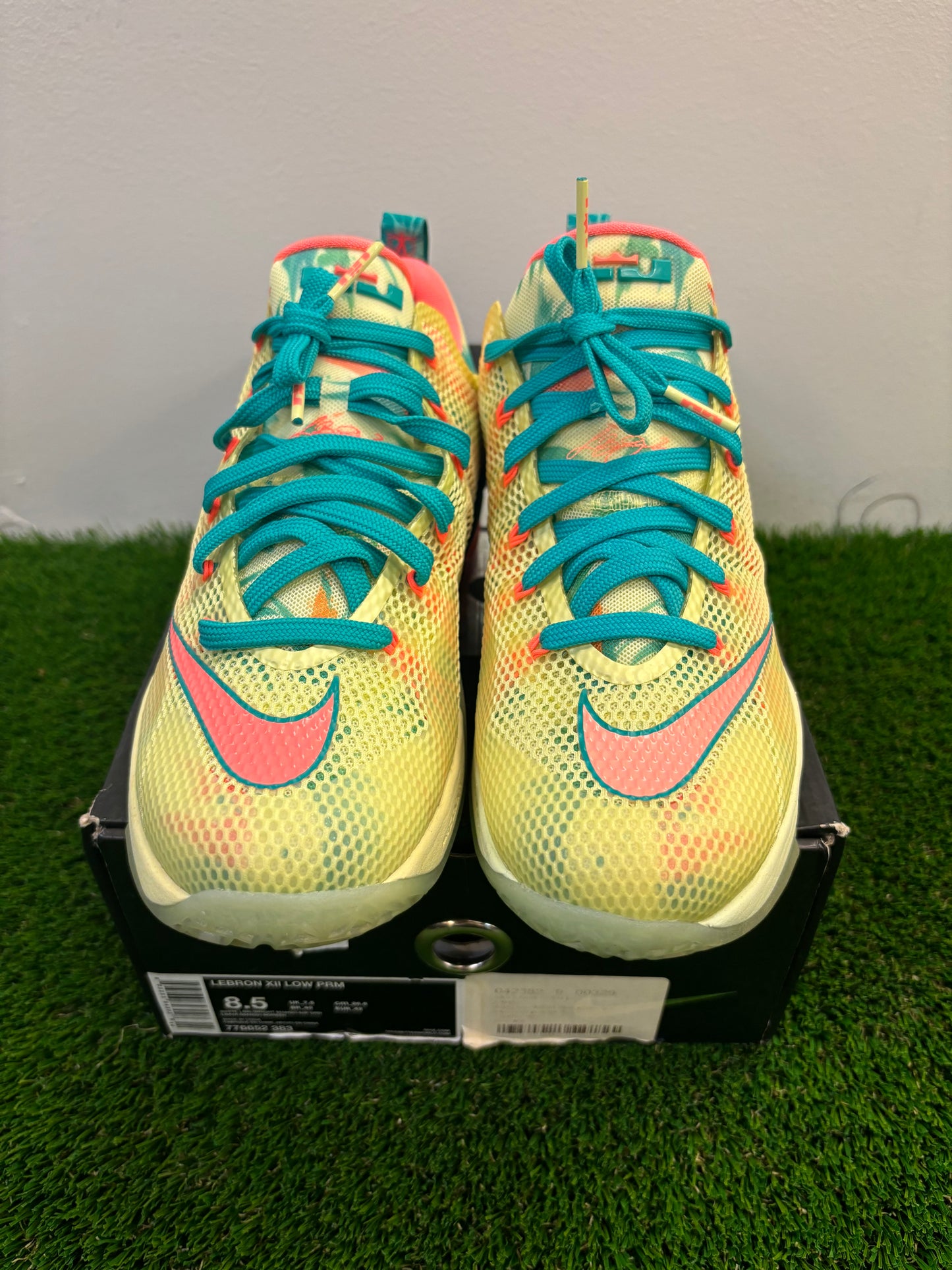 Men’s Nike Lebron Arnold Size 8.5
