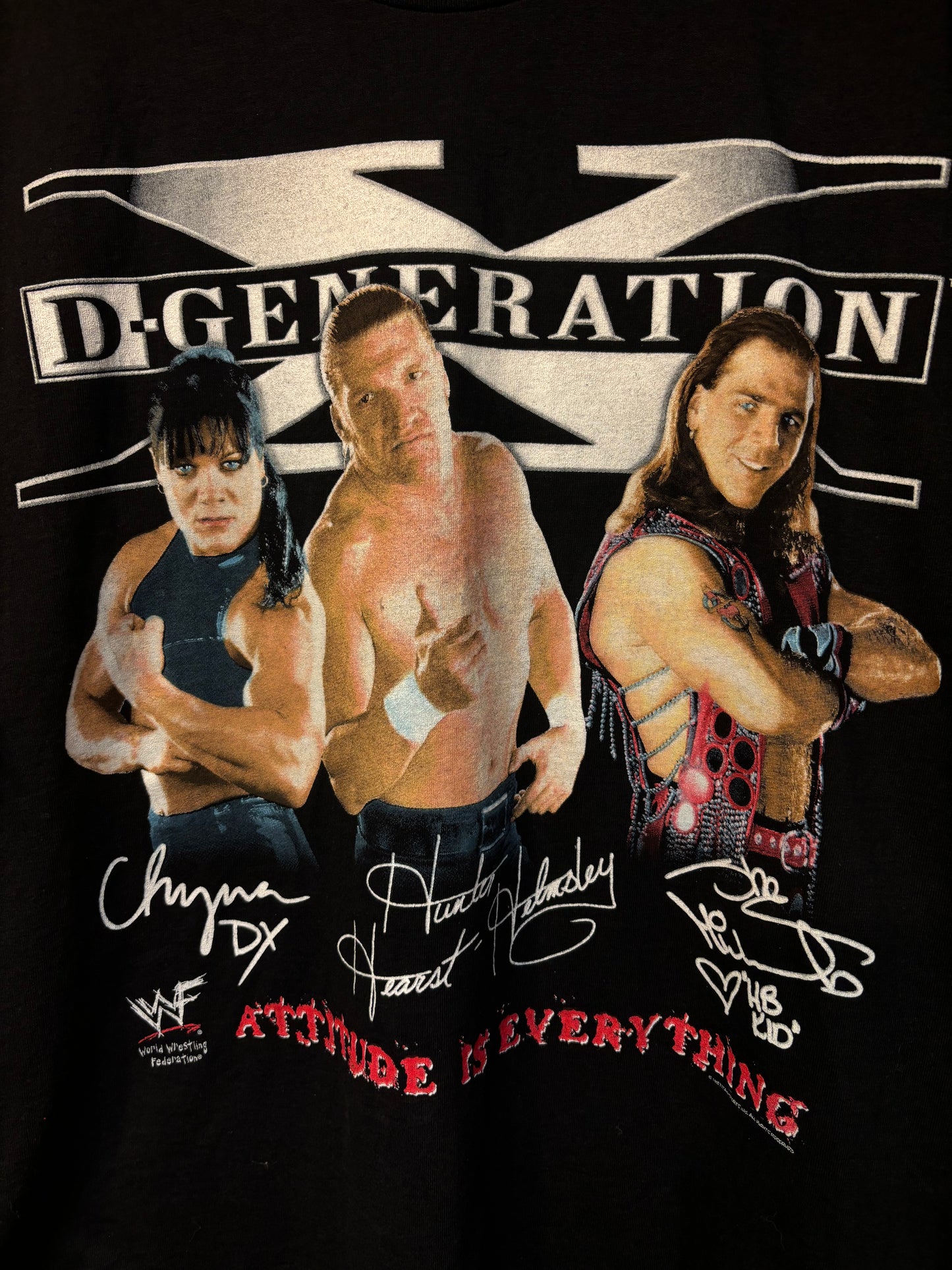 Vintage D-Generation X Large 1998 ( 21 By 31 ) $200