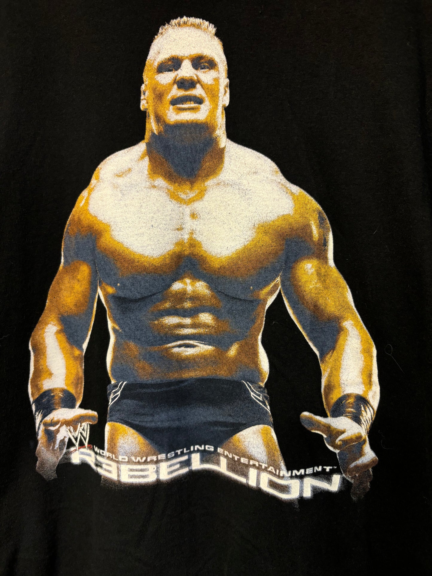 Vintage Brock Lesnar Wrestling Tee Size Large 2002 ( 22 By 30 ) $120