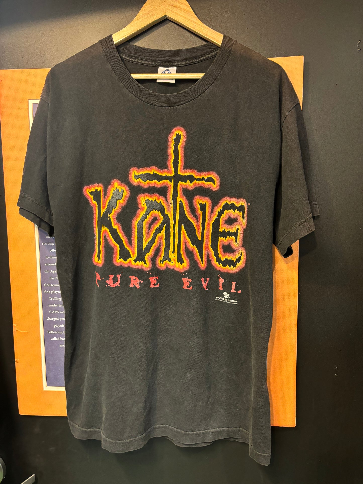 Vintage Kane Large 1998 23 By 30 $120