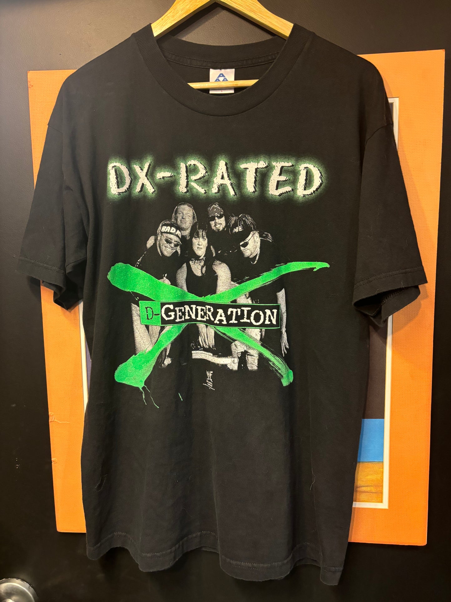 Vintage DX 1998 Large 21 By 29 $150