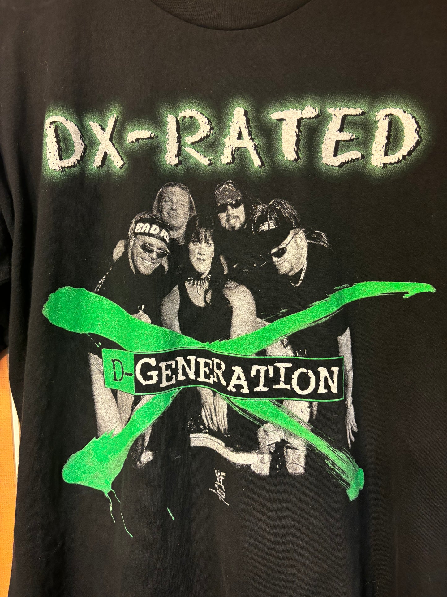 Vintage DX 1998 Large 21 By 29 $150