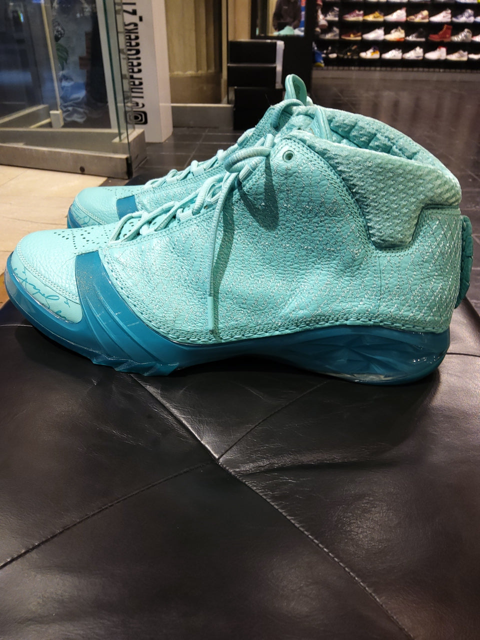 Air Jordan 23 Solefly Size 14