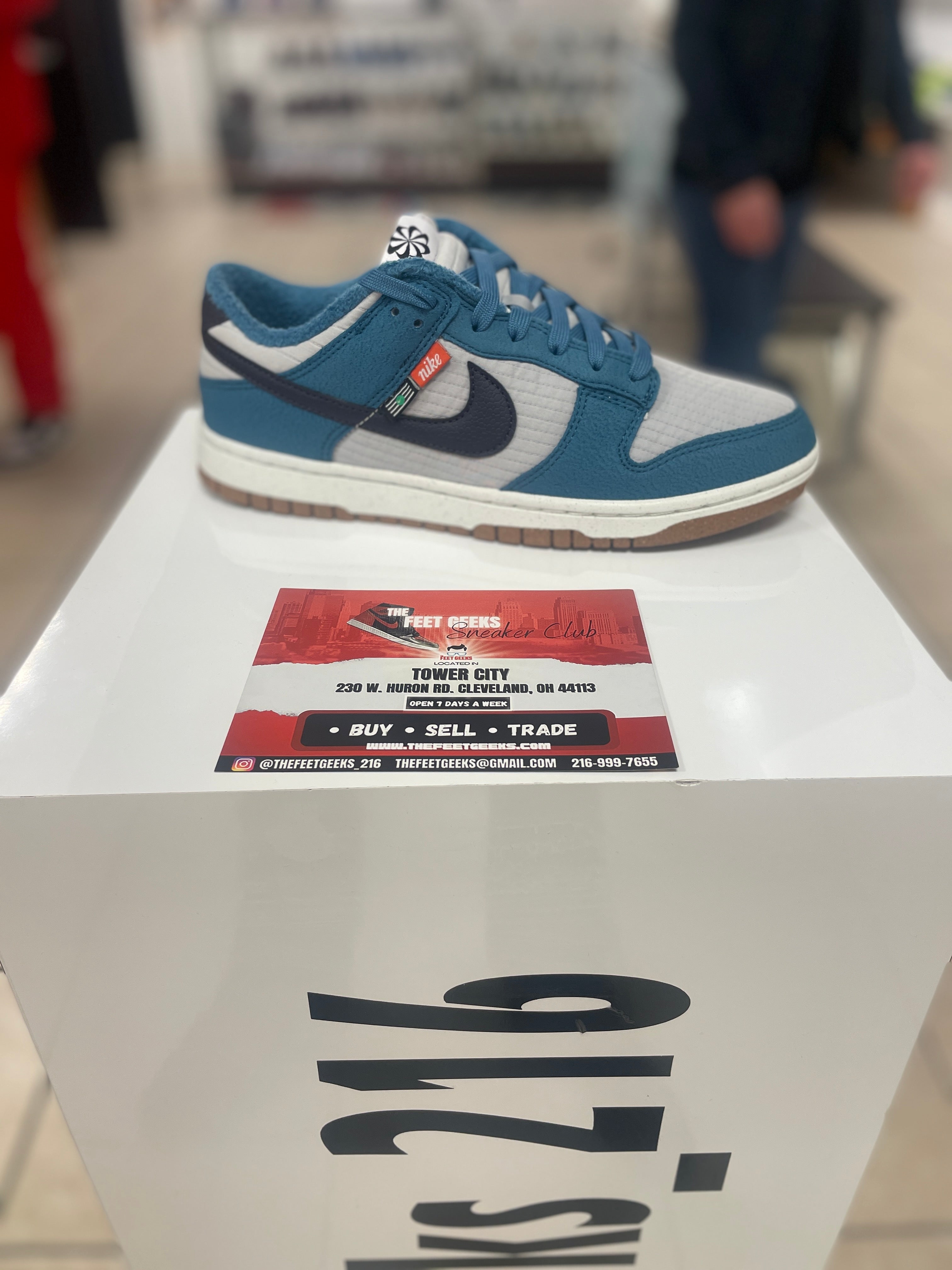 Nike Dunk Low toasty rift blue shoe